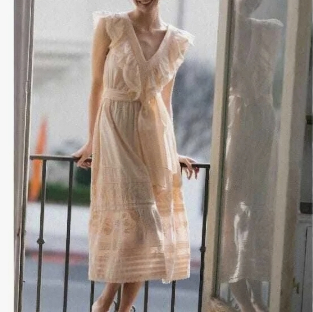 NWT St. Roche wonderland dress wild rose size 2
